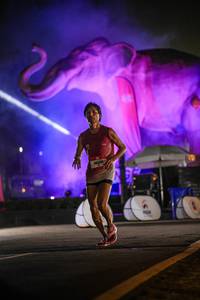 BIB: 
                            <button type="button" onclick="openModal(26530961)" class="btn btn-primary btn-sm float-right btn-popup" data-toggle="modal" data-target=".modal-high-quality">
                        <i class="fas fa-shopping-cart"></i> Add to Cart
                    </button>
                                            <button type="button" onclick="isThisMe(26530961, true)" class="btn btn-success btn-sm float-right btn-popup btn-isme hidden" data-toggle="tooltip" data-placement="bottom" title="นี่คือรูปของคุณใช่ไหม คลิกที่นี่เพื่อเอาเข้าอัลบั้ม">
                        <i class="fas fa-plus"></i> Add to album
                    </button>
                    <button type="button" onclick="isThisMe(26530961, false)" class="btn btn-warning btn-sm float-right btn-popup btn-isnotme hidden">
                        <i class="fas fa-ban"></i> Remove from album
                    </button>